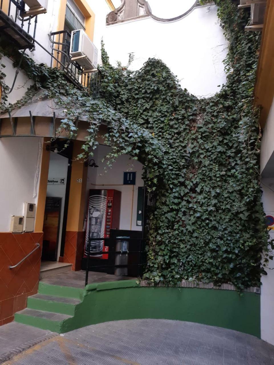 Hostal Alcobia Севилья Экстерьер фото